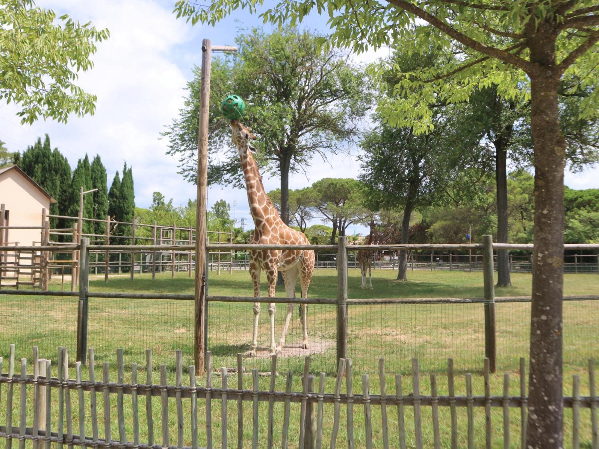 Appartamento Carinzia Lignano Sabbiadoro Esterno foto